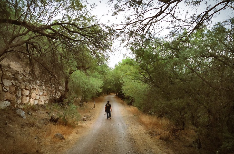 Las Aventuras A Wandering Gypsy