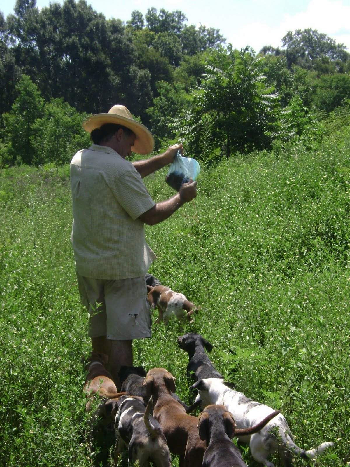 dogs blood tracking trail deer dog em