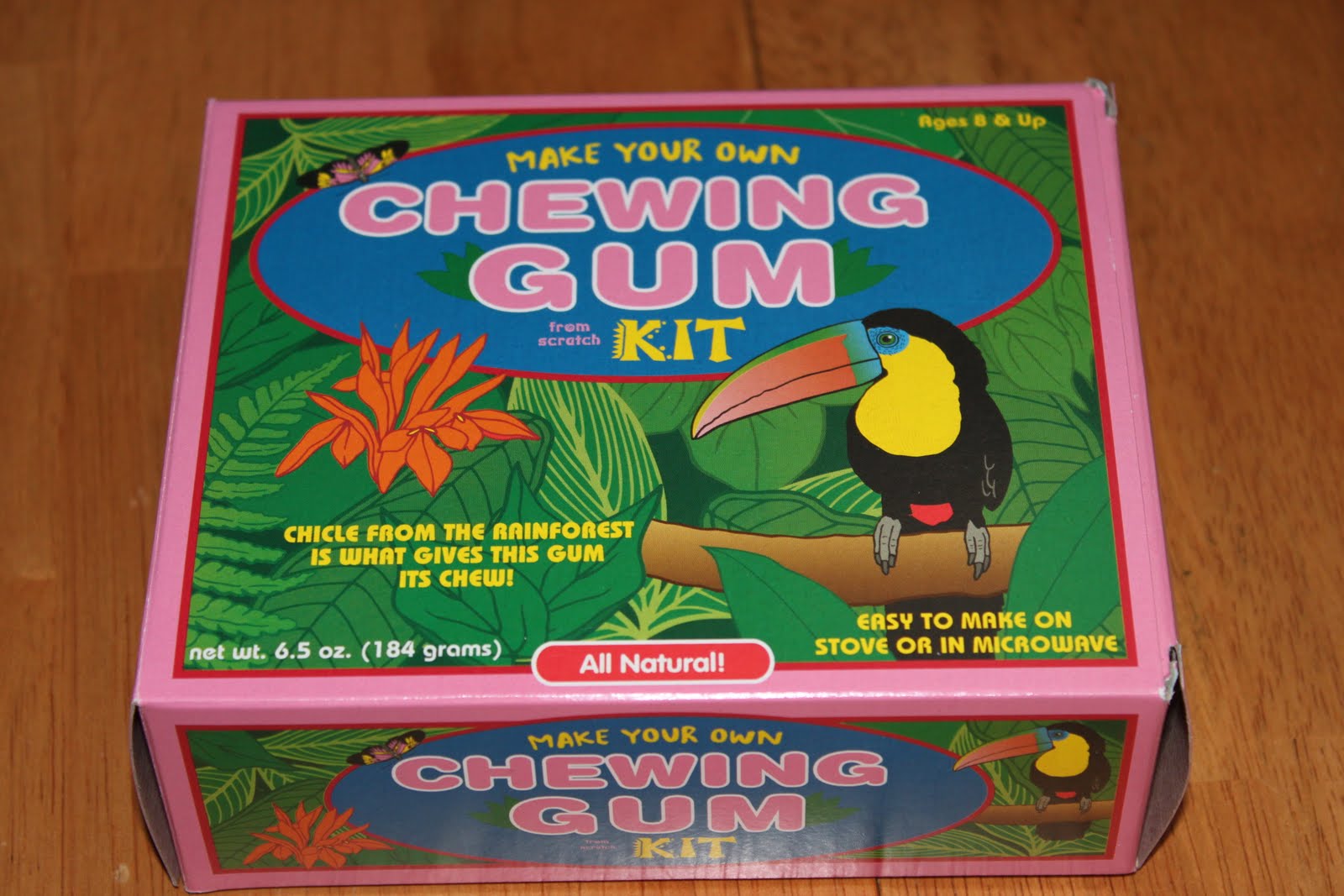 Susan's Disney Family Glee Gum Make your own chewing gum kit review