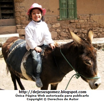 Niña Foto de niña montana en un burro por Jesus Gómez