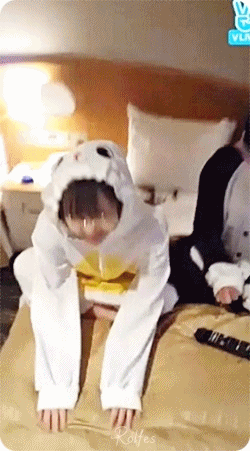 토끼 비니 & 고양이 진이.gif | 인스티즈