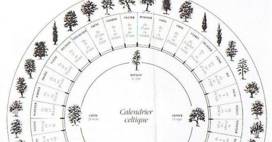 Pragma-tic: Aujourd'hui 8 juillet : huitième lune du calendrier celte