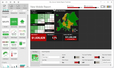 by understanding of the business needs the paginated reports the interactive reports and the mobile reports are also integrated in sql server reporting