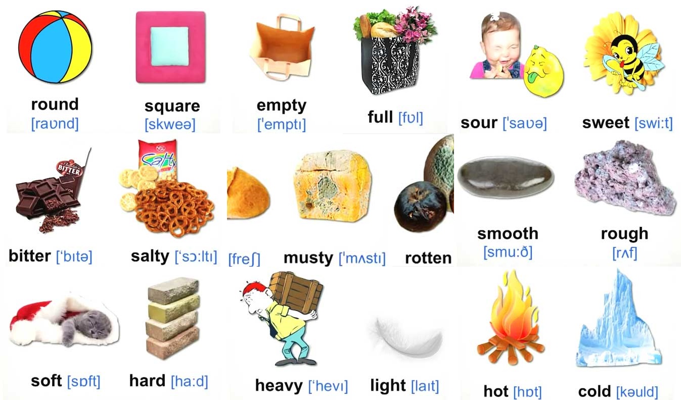 English Is Fun Common Adjectives