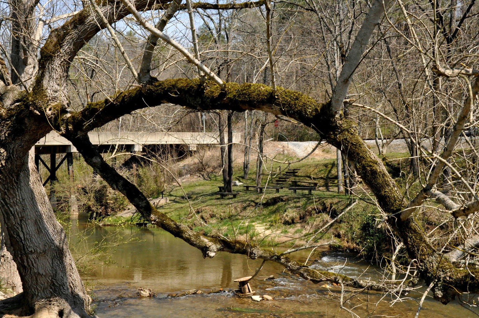 Hitchin' To Go: Talona Creek, Talking Rock, GA
