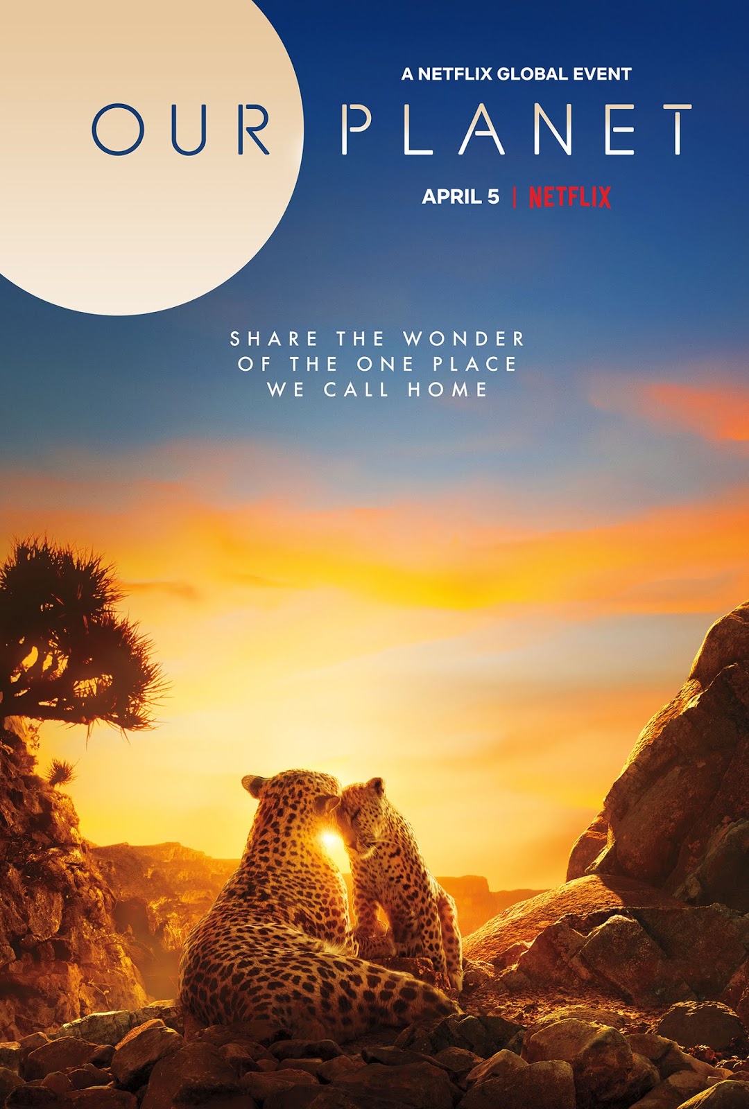 Our Ο ΠΛΑΝΗΤΗΣ ΜΑΣ (2019) Σειρα Ντοκιμαντερ