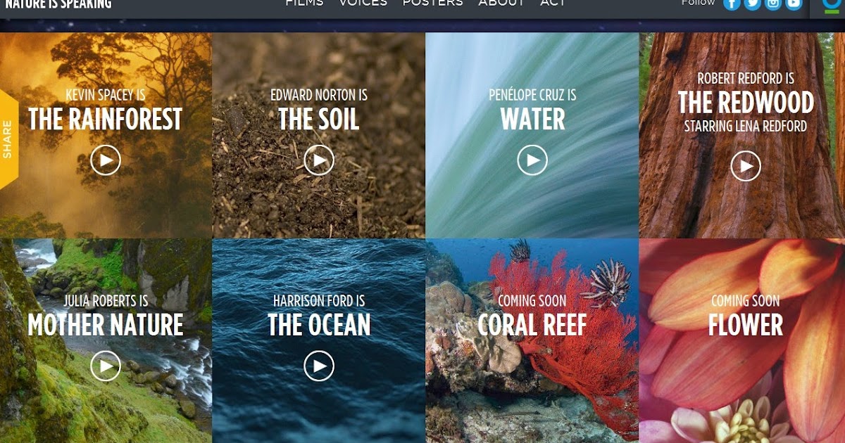 Nature is speaking. Nature speaks. nature speaking the ocean. conservation international’s project nature is speaking.