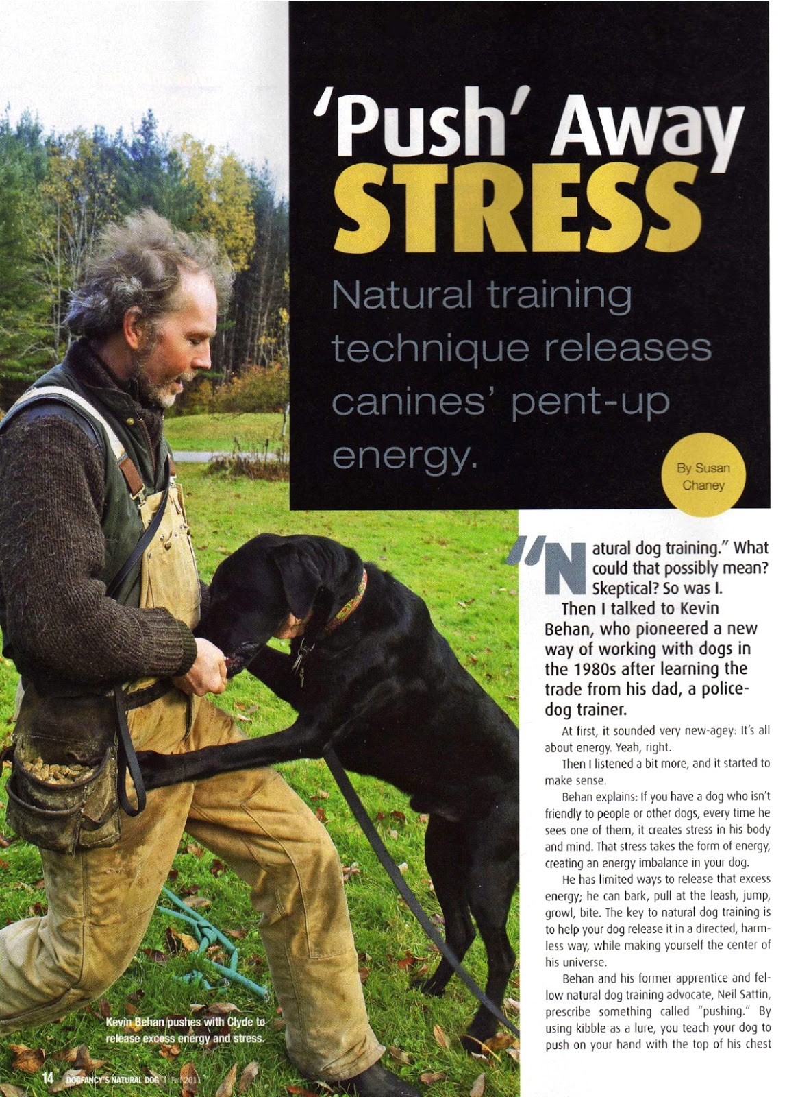 Natural Dog Training 5 Core Exercises Online degrees