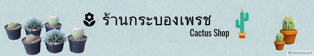 เว็บขายของ