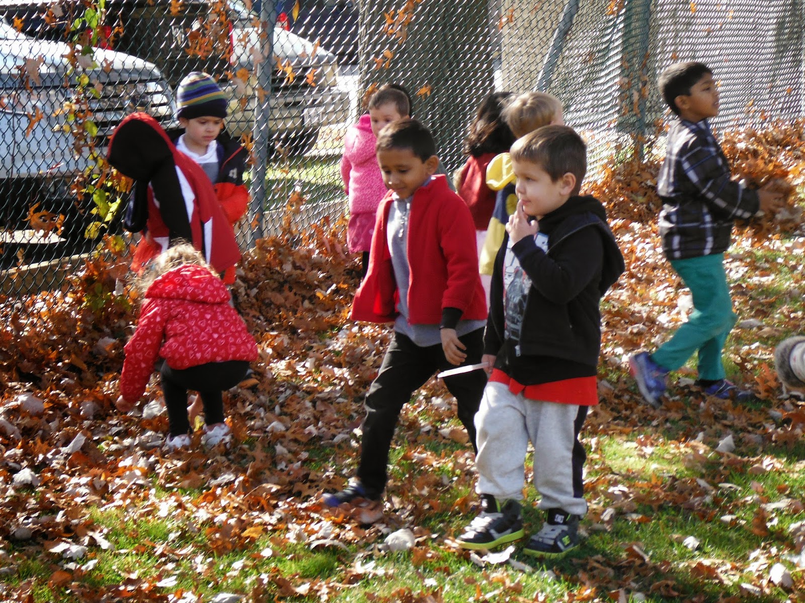Learning in Early Years: Nature Walk