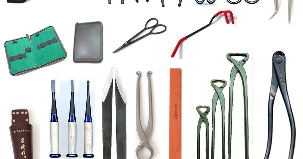 Selecting Your Bonsai Tools to Care for Your Bonsai Dynamic Bonsai
