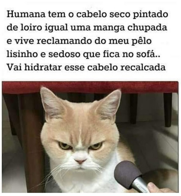 memes+engra%25C3%25A7ados+%252814%2529.j