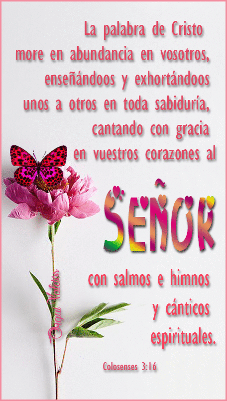 oie_oie_overlay+%282%29.gif (456×806) | Blog posts, Merry, Blog