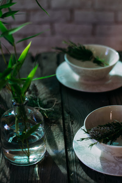 Ramilletes plantas diy