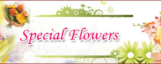 Send Flowers To India