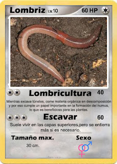 Cartas de Pokemon con Fauna uruguaya (Pradera) - Lombriz