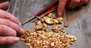 gold nuggets gold nuggets