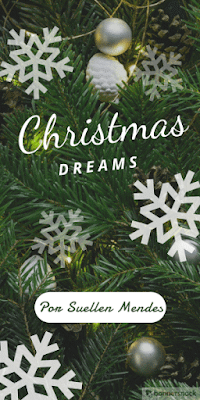 Resultado de imagem para christmas dreams suellen