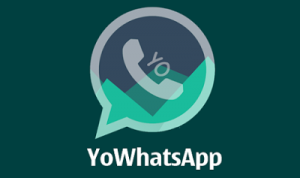 YoWhatsApp v7.60 [ Whatsapp MOD] APK For Android