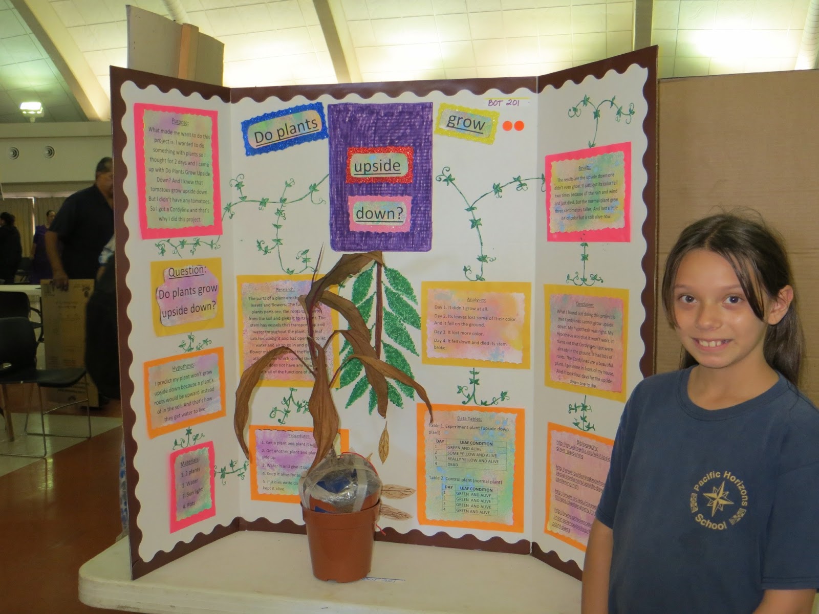Going to Paradise: Birthday Girl and Science Fair Winner