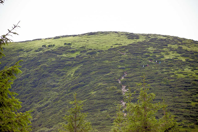 along the carpathian paths, on the roads of Ukraine, Ukraine, The Carpathians, mountains, Hoverla, Synyachka, Makovitsya, trips, trevelling, Yaremche, relax, rest in Ukraine, відпочинок у Україні, Україна, Карпати, Говерла, Маковиця, Синячка, Яремче, відпочинок в Яремчі, котедж в Яремчі, котедж у мирослава яремча, подорожі україною, відпочинок в горах, похід карпати, похід на велосипедах, отдых в карпатах, украина, дорогами украины, тропками карпат, дорогами України, стежинами карпат, sewn dreams подорожують, велопохід в карпатах