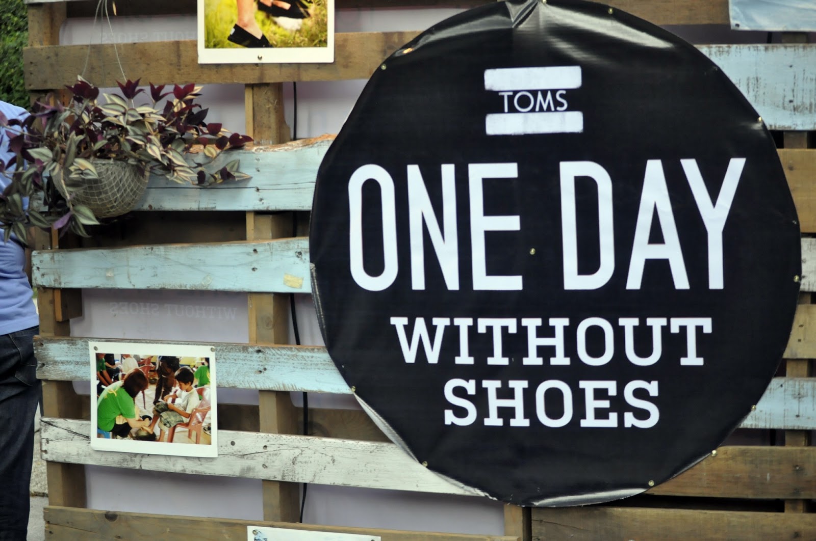 toms backless shoes