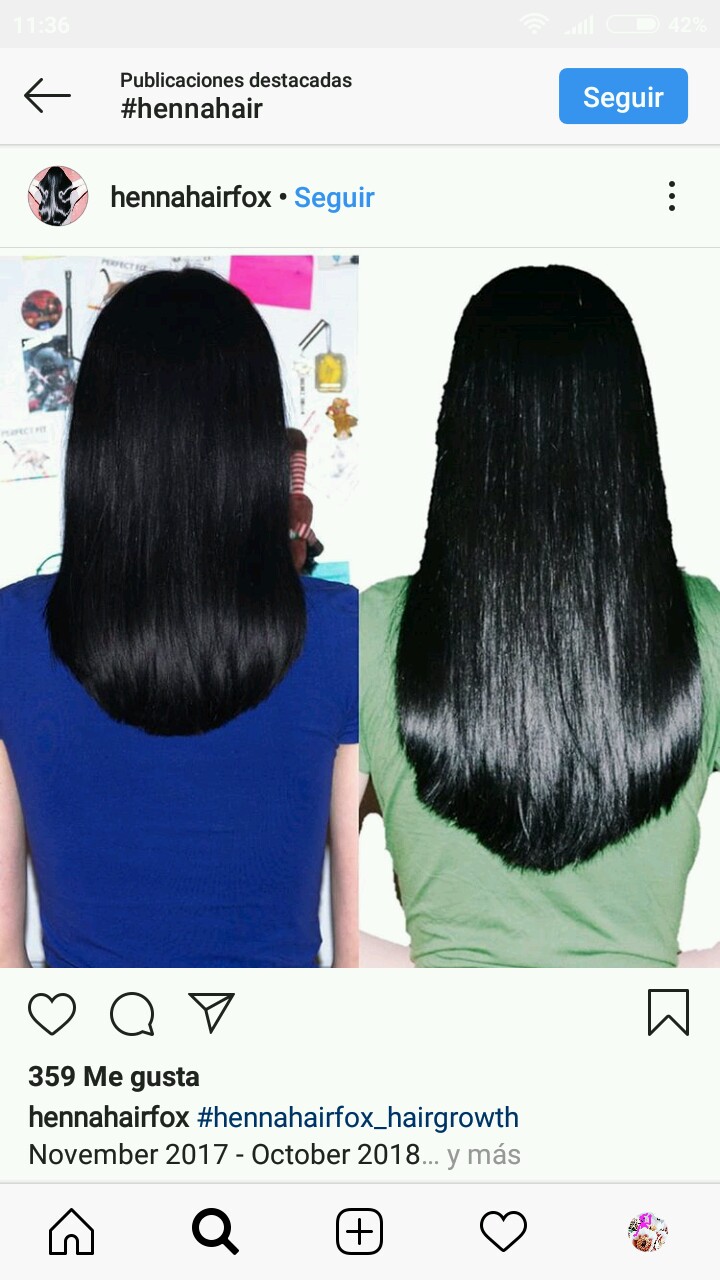 Ciencia De Ti La Guia De La Henna Preguntas Frecuentes Con Fotos