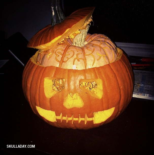 Will Pumpkin Make My Dog S Poop Orange Will Pumpkin Make My Dog S Poop Orange