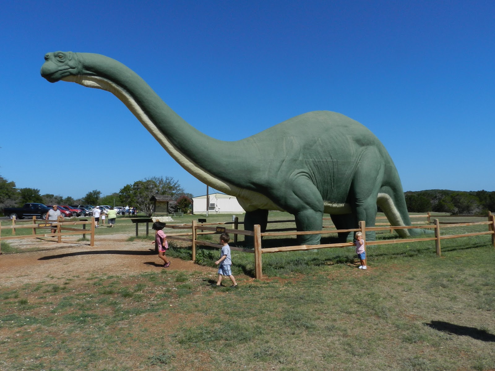 The Miguels Dinosaur Valley State Park
