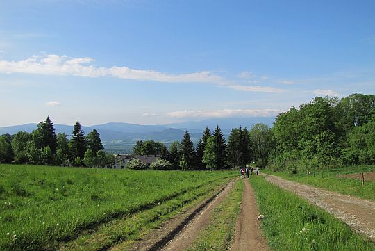 Widok z Przełęczy Komarnickiej w stronę Karkonoszy. Widok z Przełęczy Komarnickiej w stronę Karkonoszy.