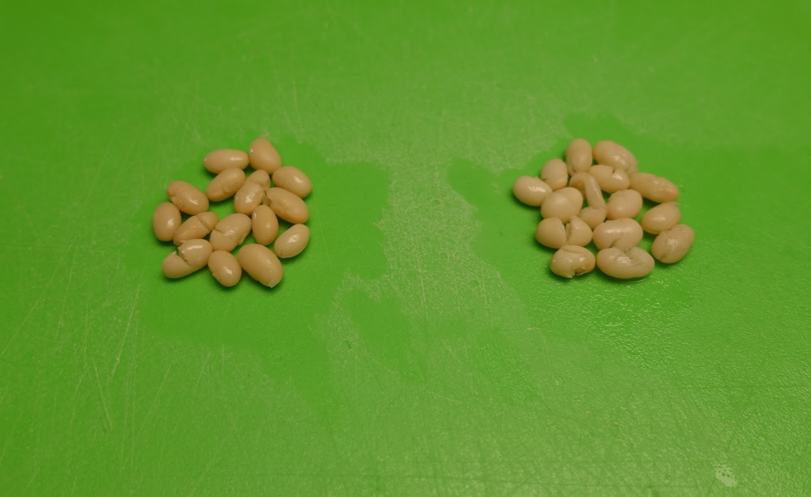 A Jug of Wine, a Loaf of Bread and Ciao Do Dried Beans Go Bad?