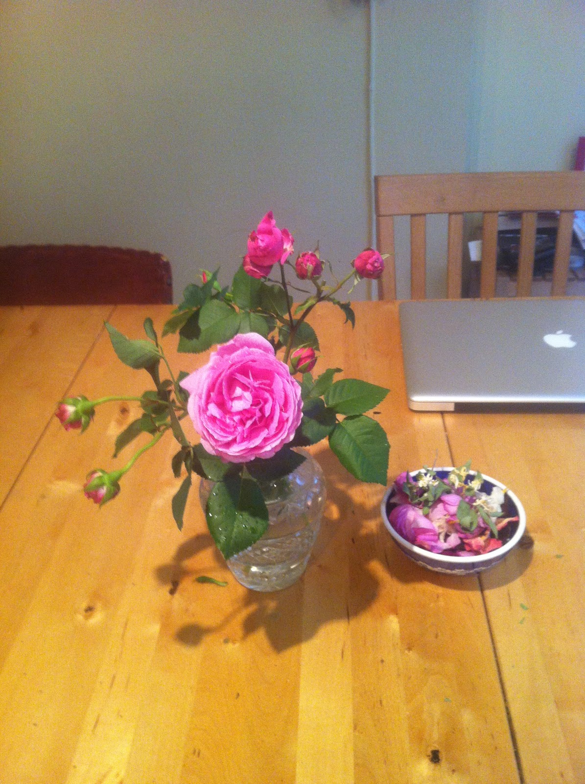 Colleen's Window on Italy The Love of Gardens!