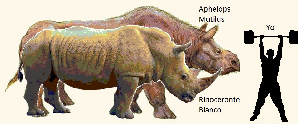 Animales Prehistoricos: Animales Prehistoricos, evolución de la Tierra ...