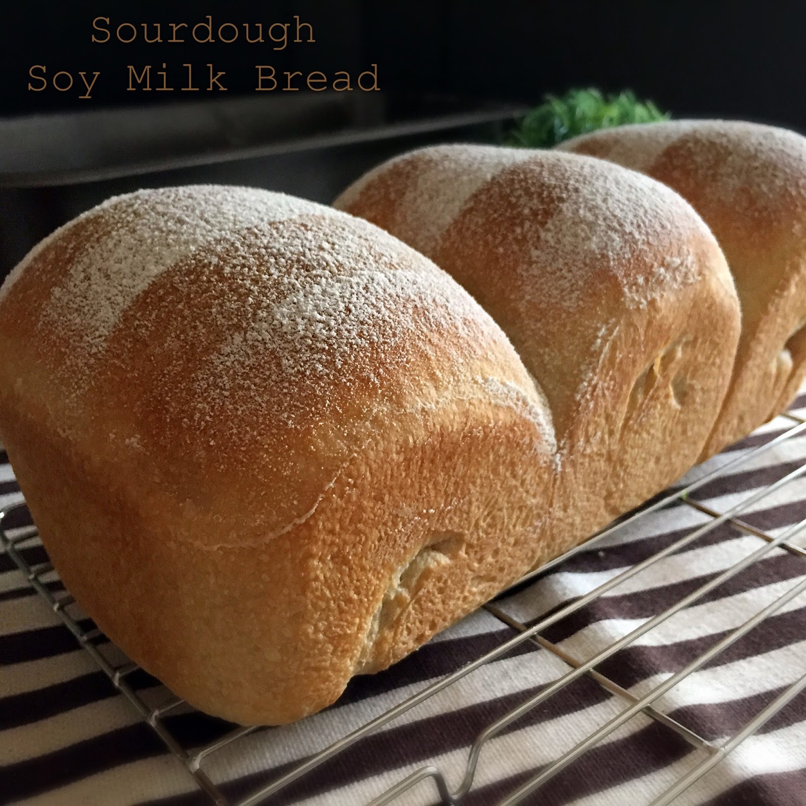 My Mind Patch Sourdough Soy Milk Bread 豆奶酸种吐司