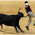 Bulls' Charge Stalls, while Greenback Consolidates Losses