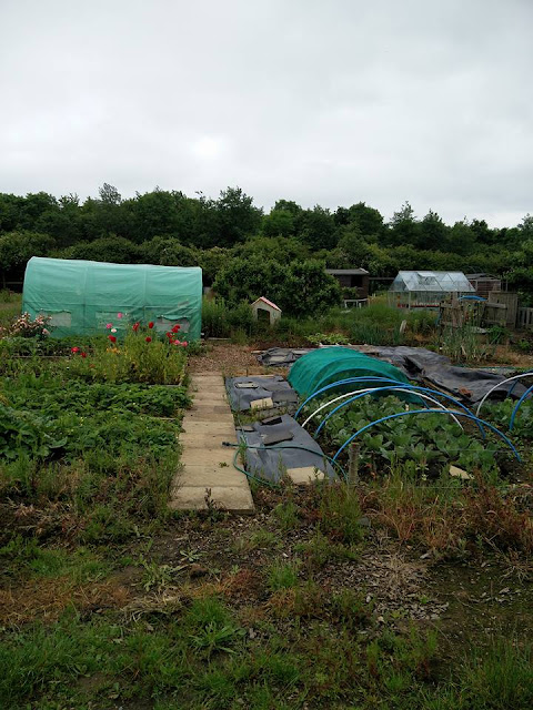 Gostwick allotments, Orton Brimbles