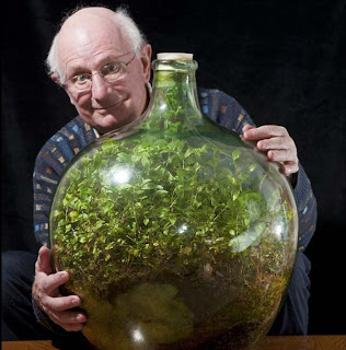 «Αθάνατο» φυτό ζει 40 χρόνια σε μπουκάλι χωρίς αέρα και νερό!