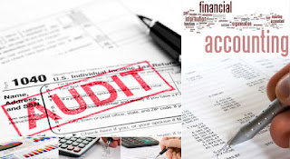 Audit Audit