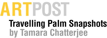 Travelling Palm Snapshots