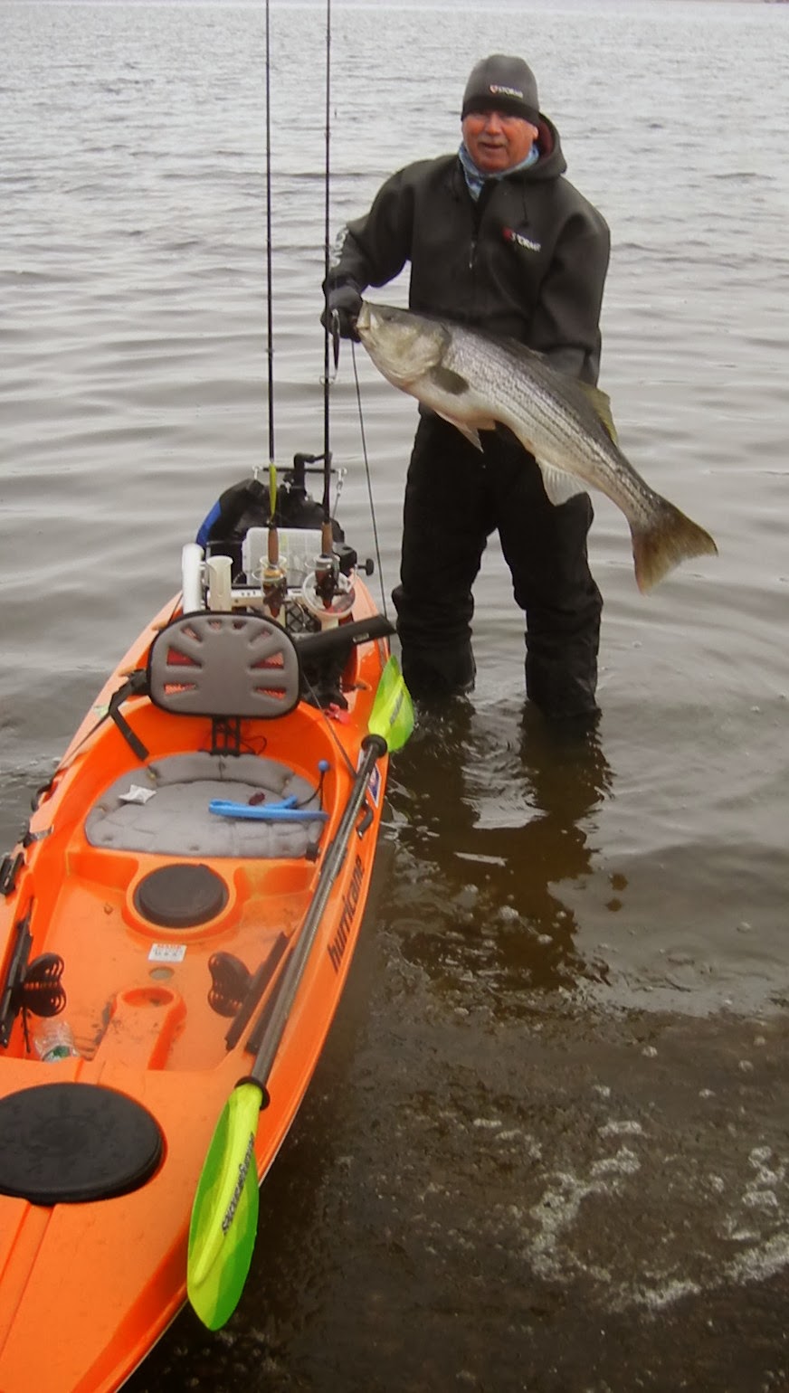 Posted by Greg Cohen