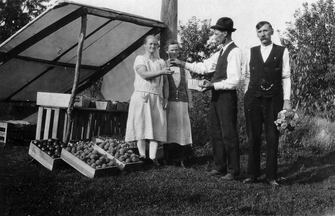 A drifting cowboy Cowboy Legacy Lewiston Orchards and the Great