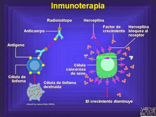 Man Made Immune System Proteins 121