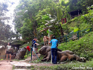 Qing Xin Ling Leisure and Cultural Village at Ipoh, Perak