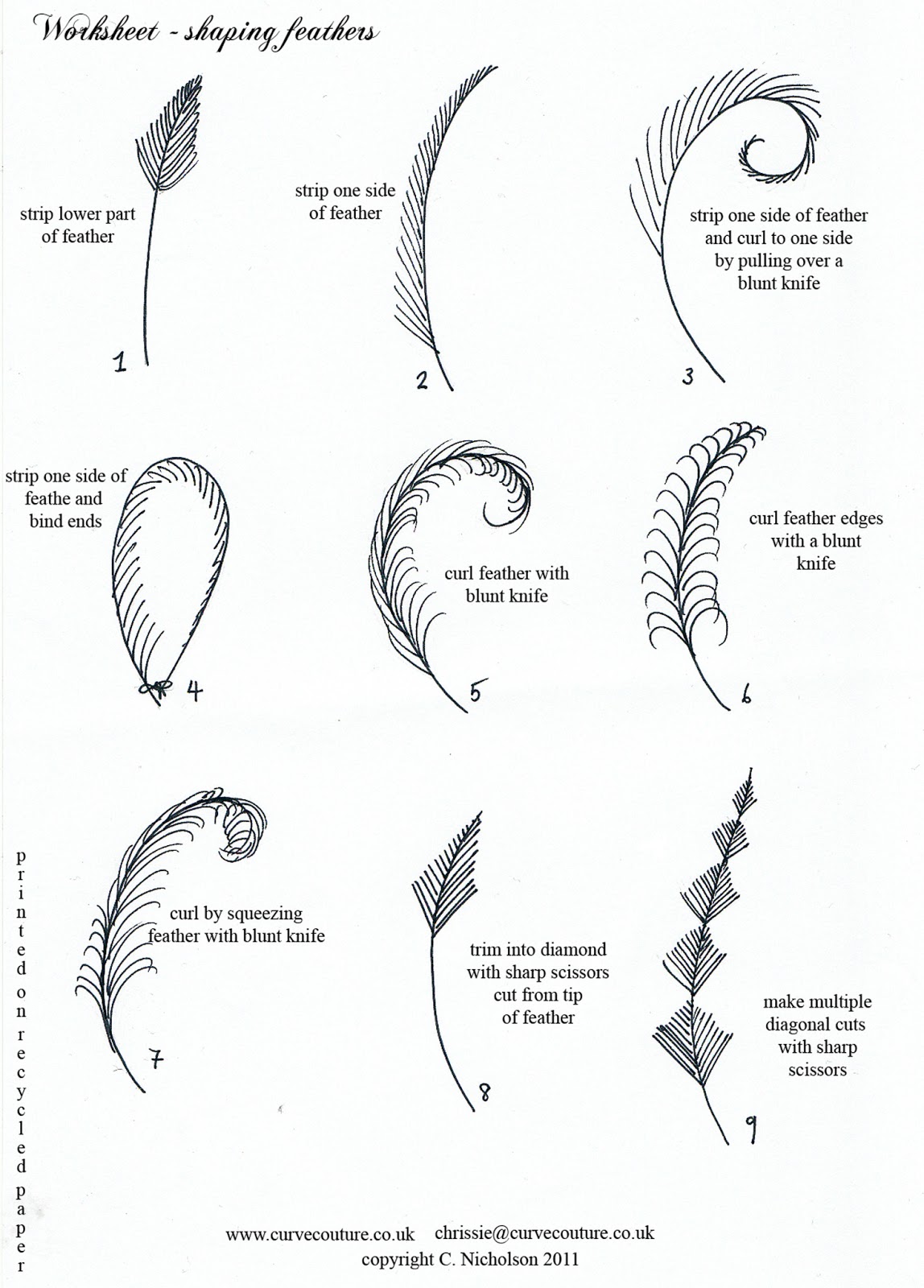 Chrissie NicholsonWild Corset makers diary Fascinating feathers