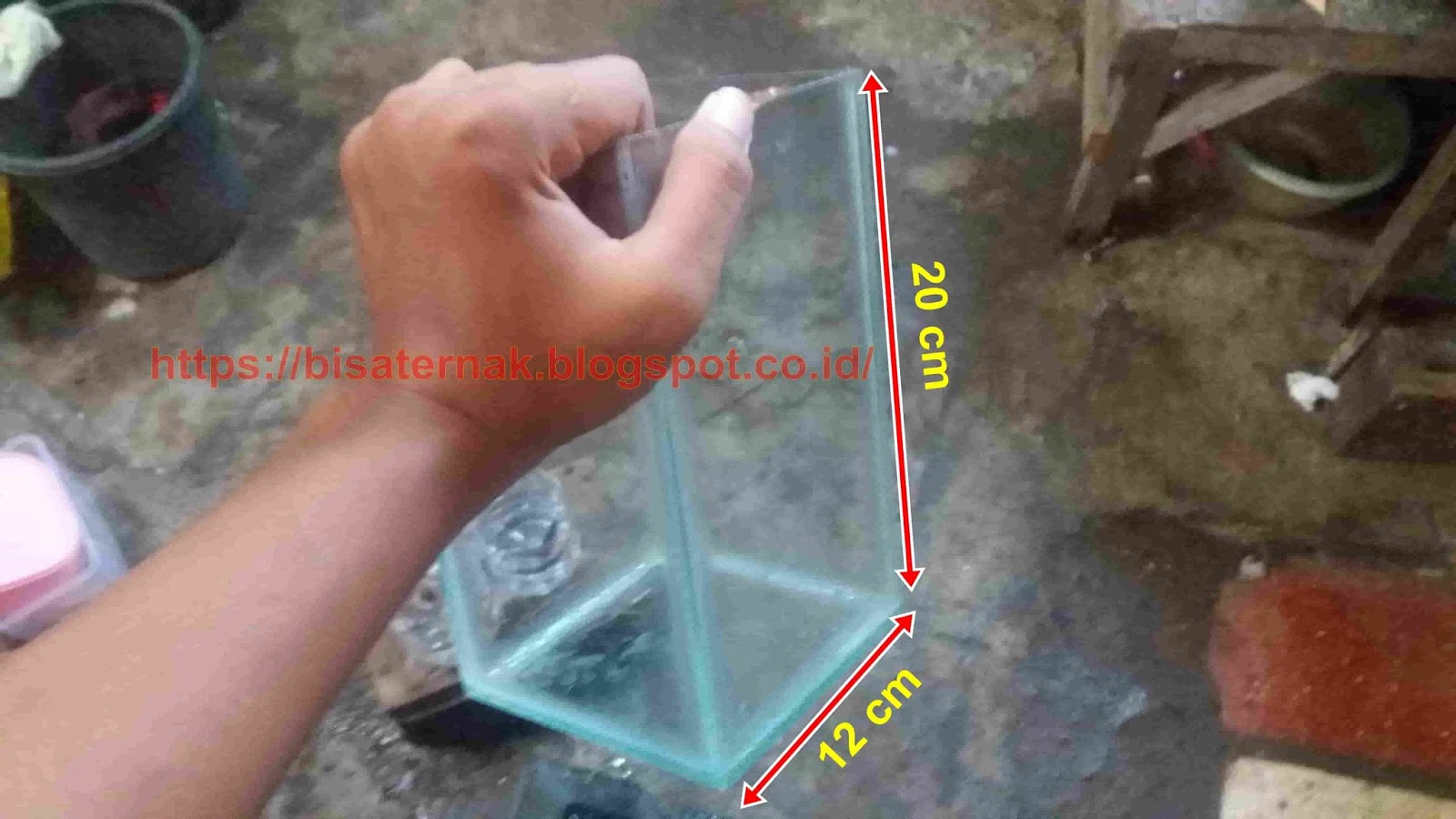 Kumpulan Materi Pelajaran Dan Contoh Soal 3 Ukuran Aquarium Ikan