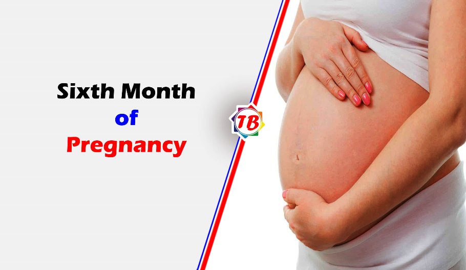 Sixth month of pregnancy