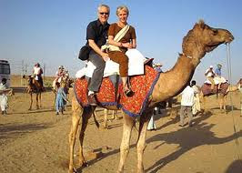 Camel Safari Tours