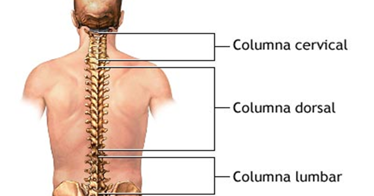 What is dorsalgia meaning definition unspecified icd10 treatment