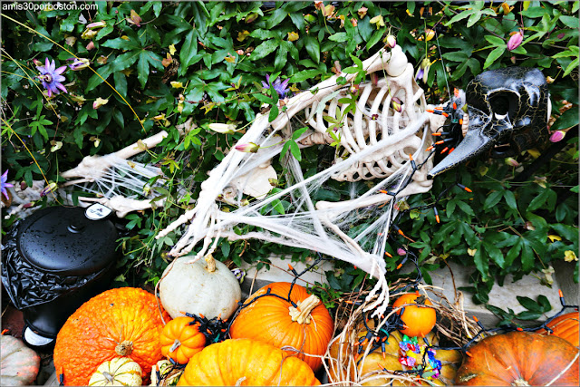 Decoraciones por Halloween en Back Bay, Boston