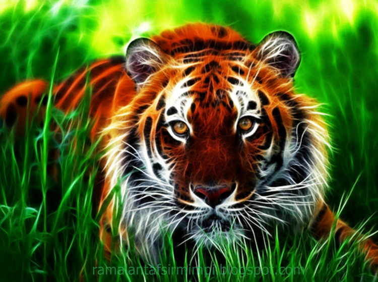 8 Arti Mimpi di Kejar Harimau Menurut Primbon Jawa - Dokumentasi